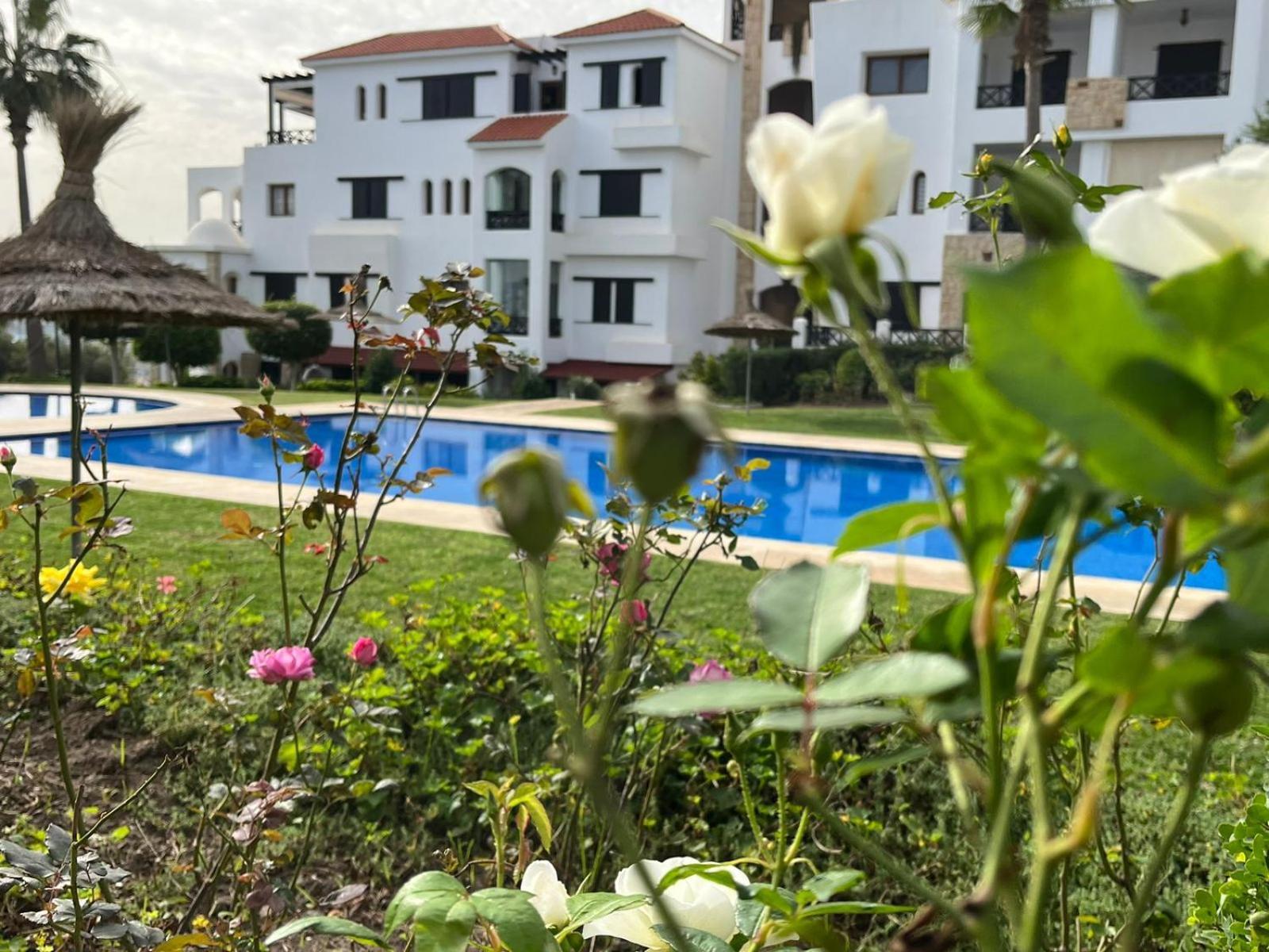 Lilac'S Garden Vue Piscine M'dik Luaran gambar